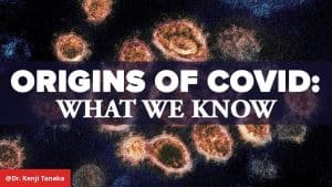 WHO Sheds Light on COVID-19 Origins After Three Years