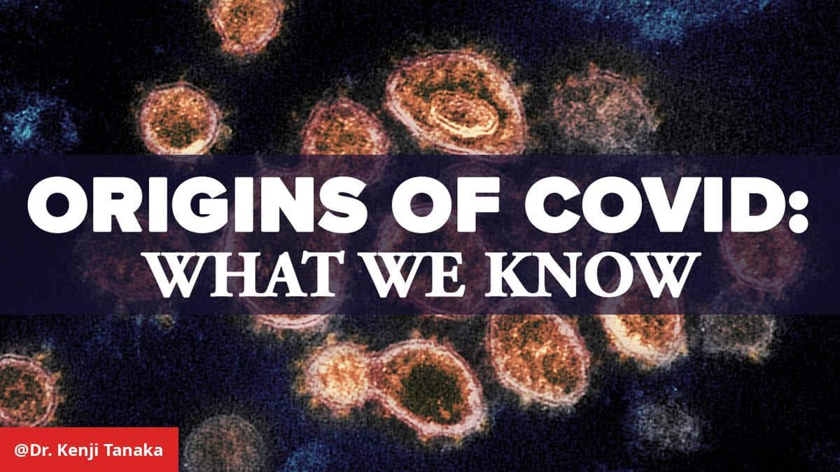 WHO Sheds Light on COVID-19 Origins After Three Years