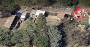 California "Rescue" Exposed: The Real Number Is Wild.