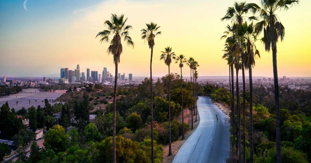 SoCal green palm trees near city buildings during daytime
