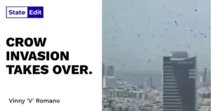 Tel Aviv's Crow Swarm: Nobody Saw This Coming.