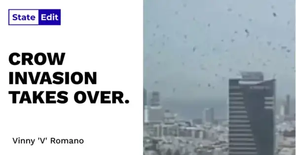 Tel Aviv's Crow Swarm: Nobody Saw This Coming.