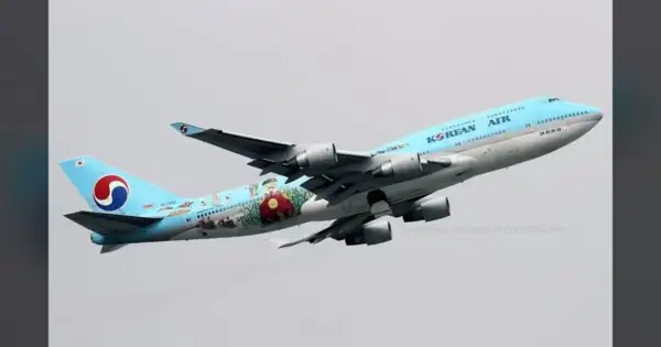 Korean Air faces a $50M wrongful death suit from family