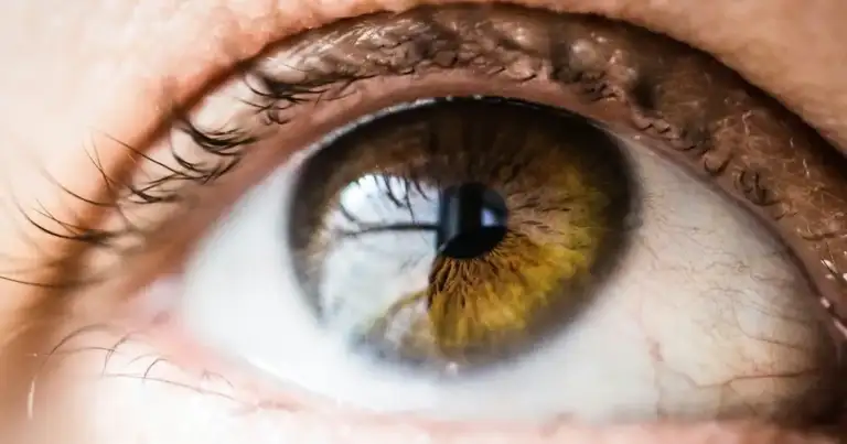 3.1 Million Eye Drops Pulled—Contamination Fears Rock Industry