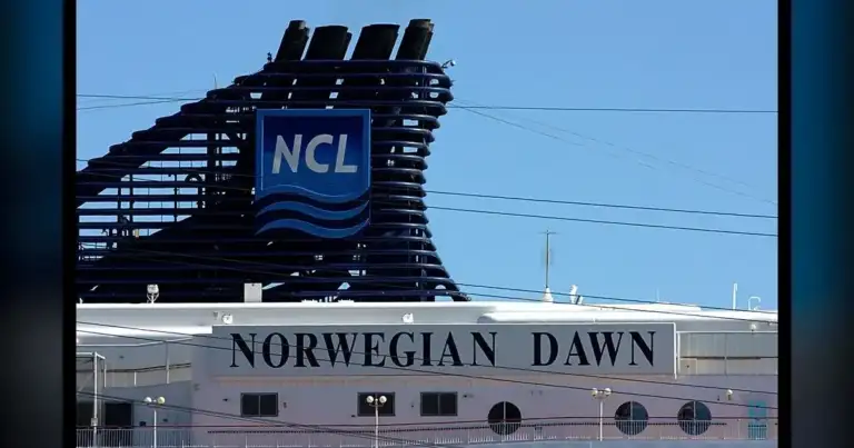Norwegian Dawn: Everyone just froze, holding their breath.