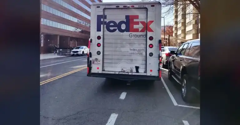 FedEx Driver’s Chilling Words: “I Had to Silence Her” After Athena’s Murder