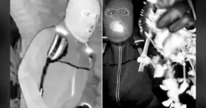 Nanos Slammed for Botching Nancy Guthrie Search