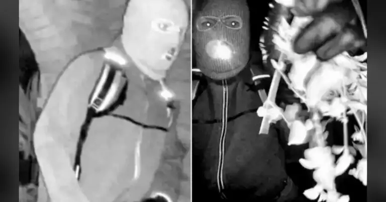 Nanos Slammed for Botching Nancy Guthrie Search