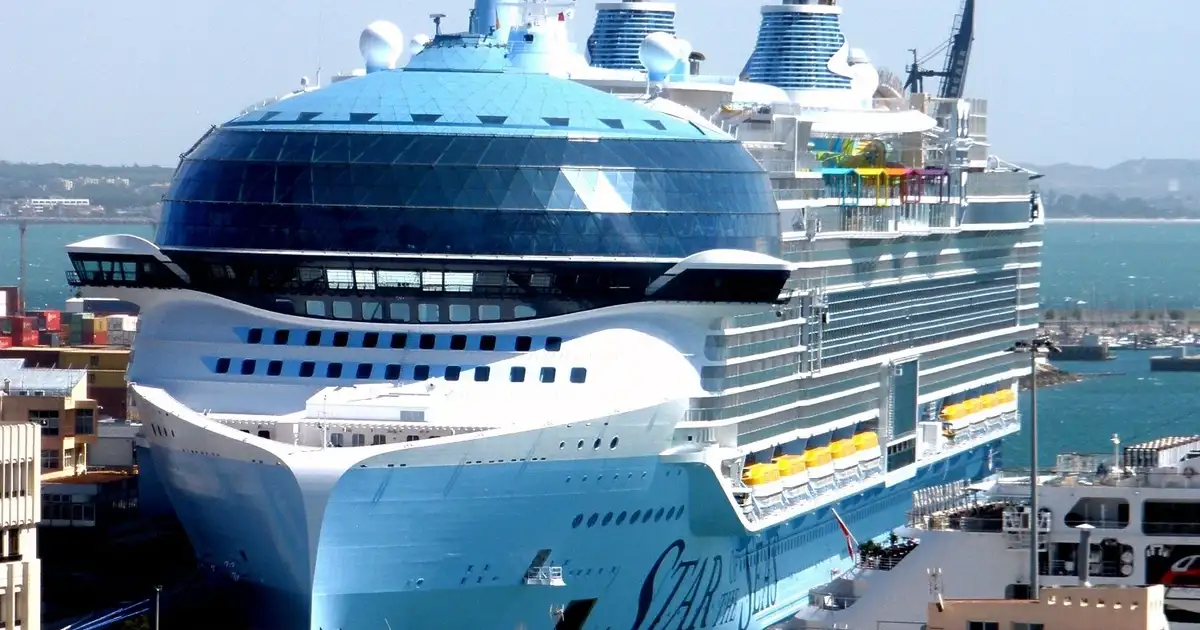 Rat Virus Cruise: Captain's Fatal Error Exposed by Passenger Video
