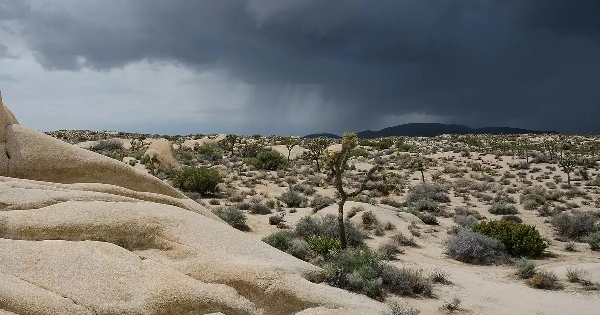 Joshua Tree's Dumbbell UFO Just Vanished After 45 Minutes