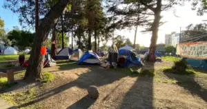Berkeley: 1 Dead, 200 Rats Fuel Deadly Camp Disease