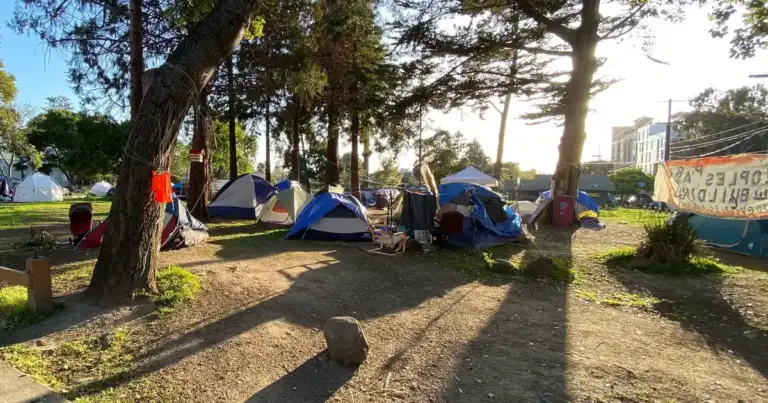 Berkeley: 1 Dead, 200 Rats Fuel Deadly Camp Disease