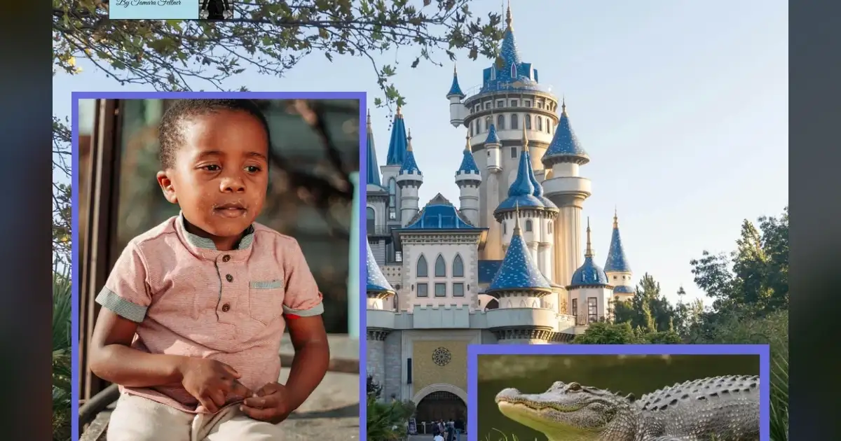 400+ Alligators Removed from Disney World Since 2016