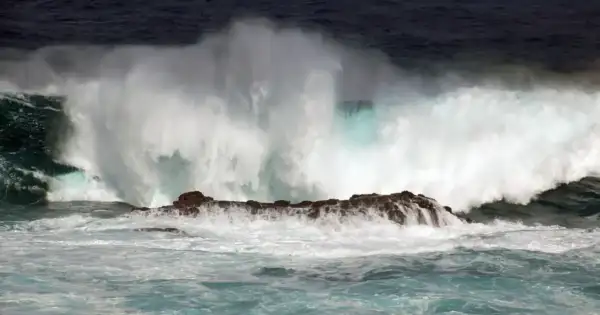 Laguna Beach Rogue Wave Claims Mark, Lily Jensen
