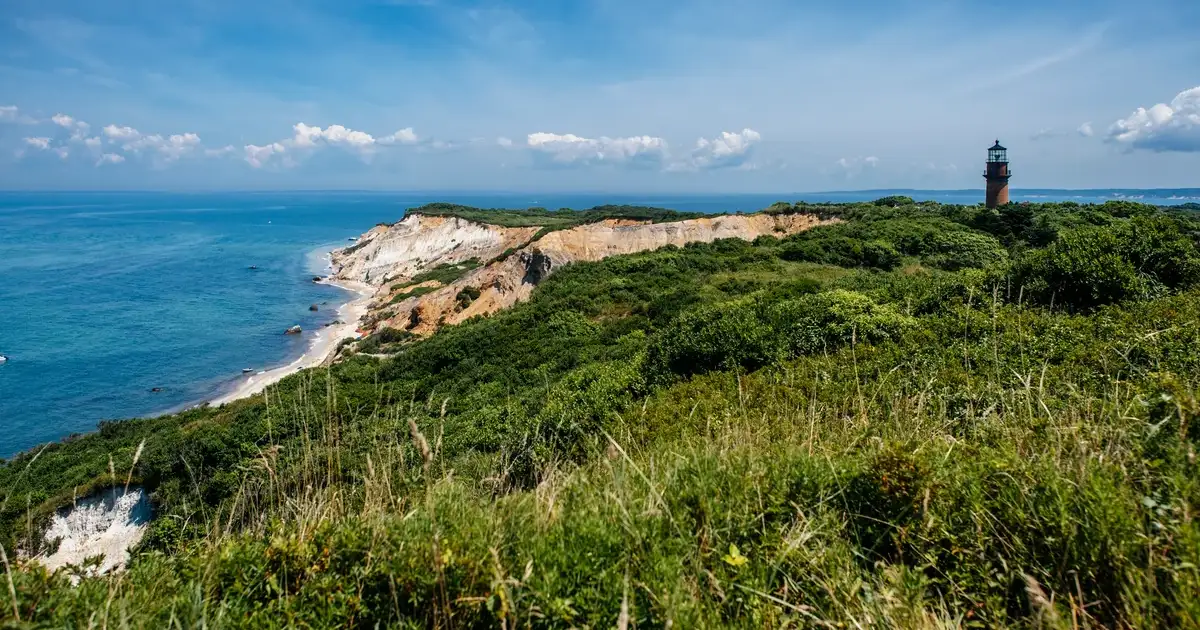 Marthas Vineyard Billionaires' BBQ Summer Crushed By Deadly Tick