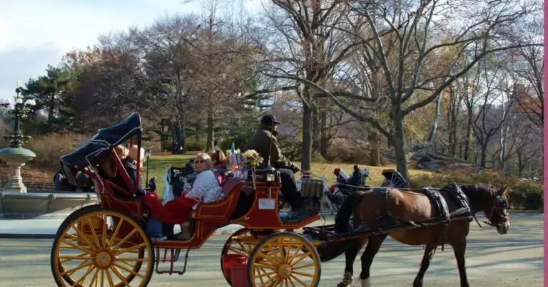 Father: My 18-Year-Old Died in NYC Carriage Horror