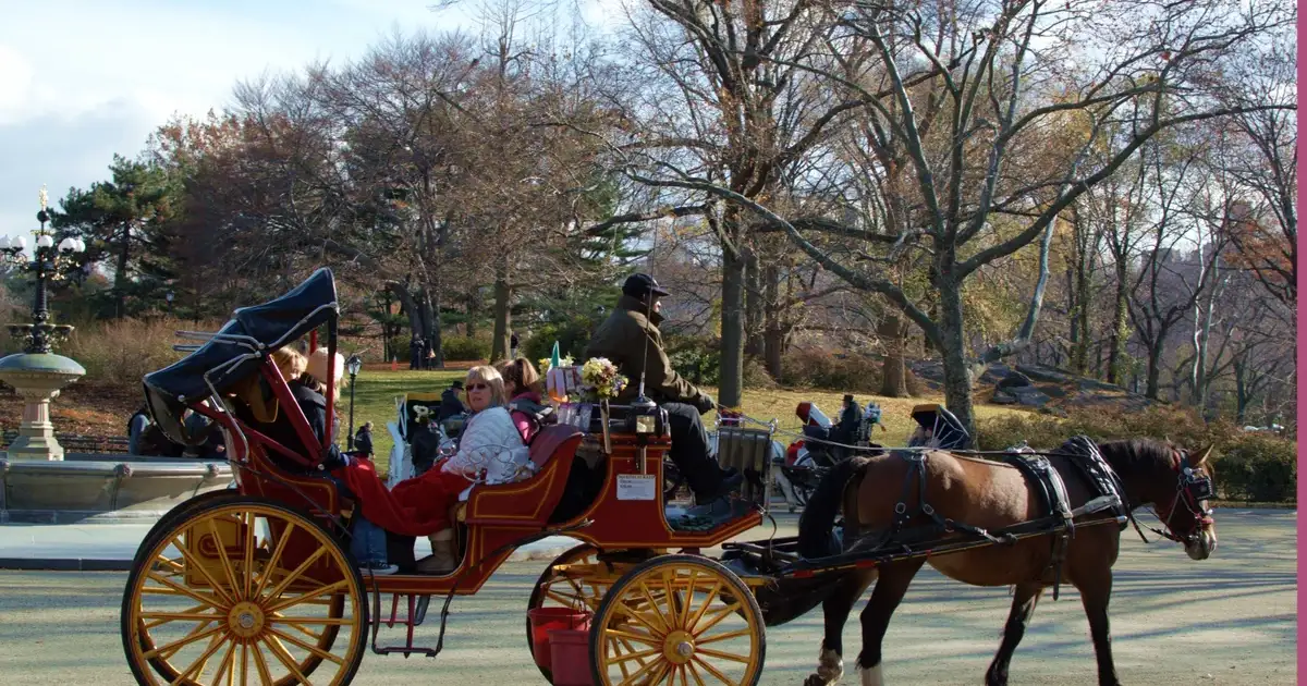 Father: My 18-Year-Old Died in NYC Carriage Horror