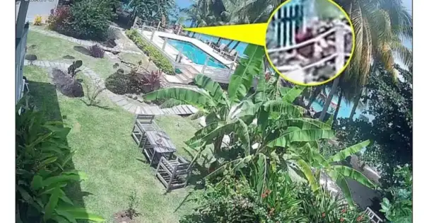 Elizabeth 'Liz' Waddell Vanishes in Barbados After Eerie Footage