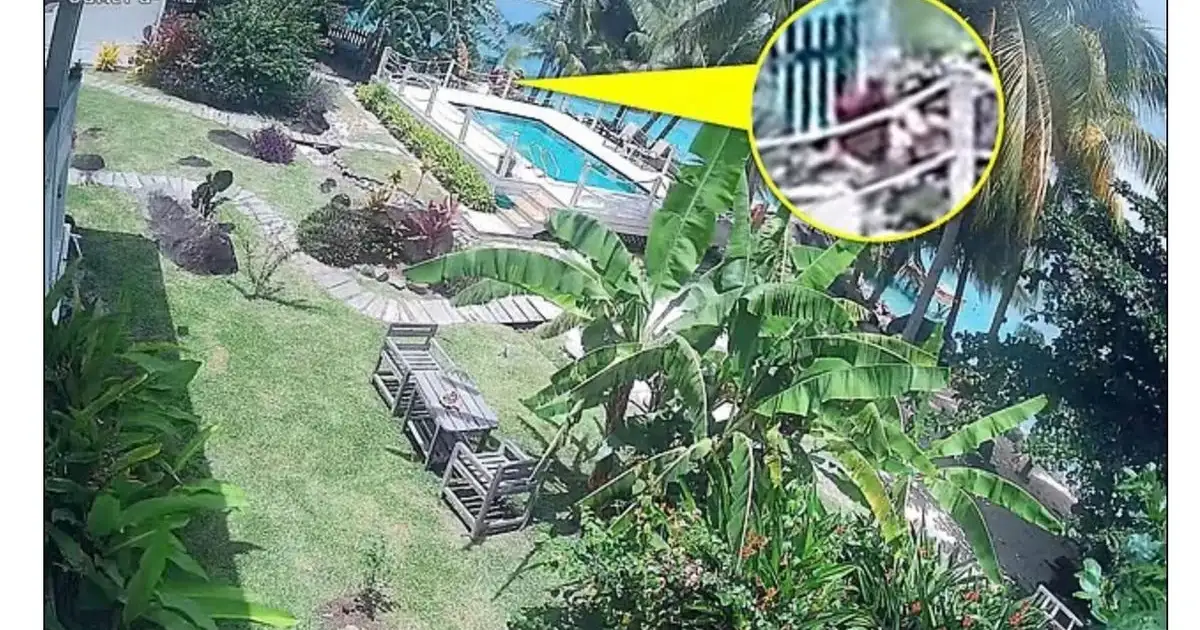 Elizabeth 'Liz' Waddell Vanishes in Barbados After Eerie Footage