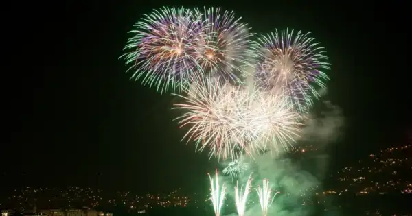 CA Woman Dies in July 4 Fireworks Explosion