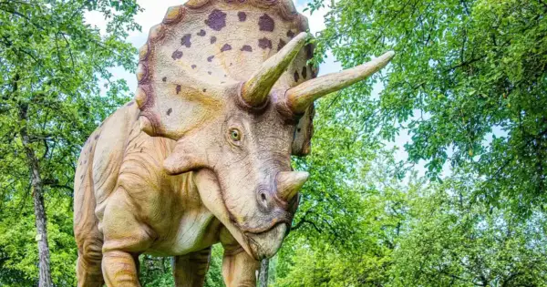 Christie's: $15M for Triceratops 'Thor' Sets New Fossil Mark