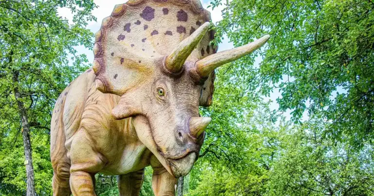 Christie's: $15M for Triceratops 'Thor' Sets New Fossil Mark