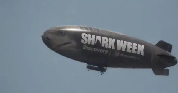 Shark Week fears; Hawaii honors Manō for ocean health.