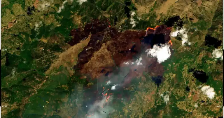 5 Burned in Cars: Spain Wildfires Turn Roads to Death Traps