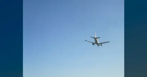 AA blasted for call sign blunder that nearly caused collision.