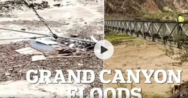 Grand Canyon flash flood kills 1, leaves 14 missing—rescue efforts struggle