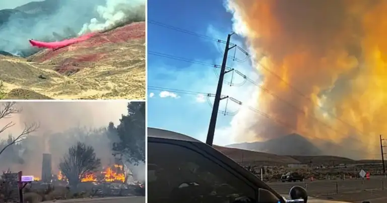 Nevada declares emergency as 10,000-acre wildfires force evacuations