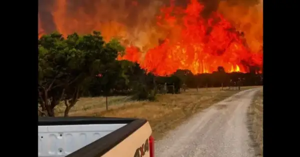 Texas wildfires destroy 150+ buildings, residents prepare to evacuate