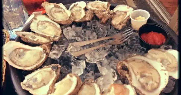 Fourth Floridian dies from flesh-eating bacteria linked to raw oysters