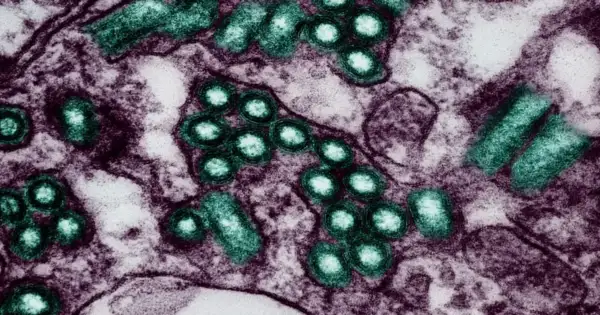 CDC reports a 35 percent increase in rabies exposures in recent years
