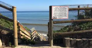 California Beaches Closed as Heat Wave Turns Ocean into Toxic Dead Zone