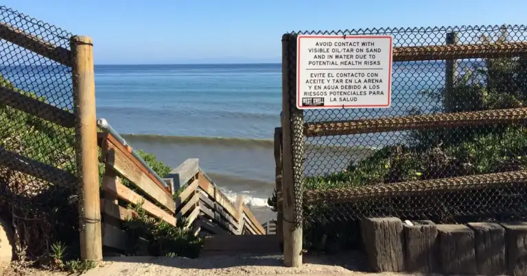 California Beaches Closed as Heat Wave Turns Ocean into Toxic Dead Zone